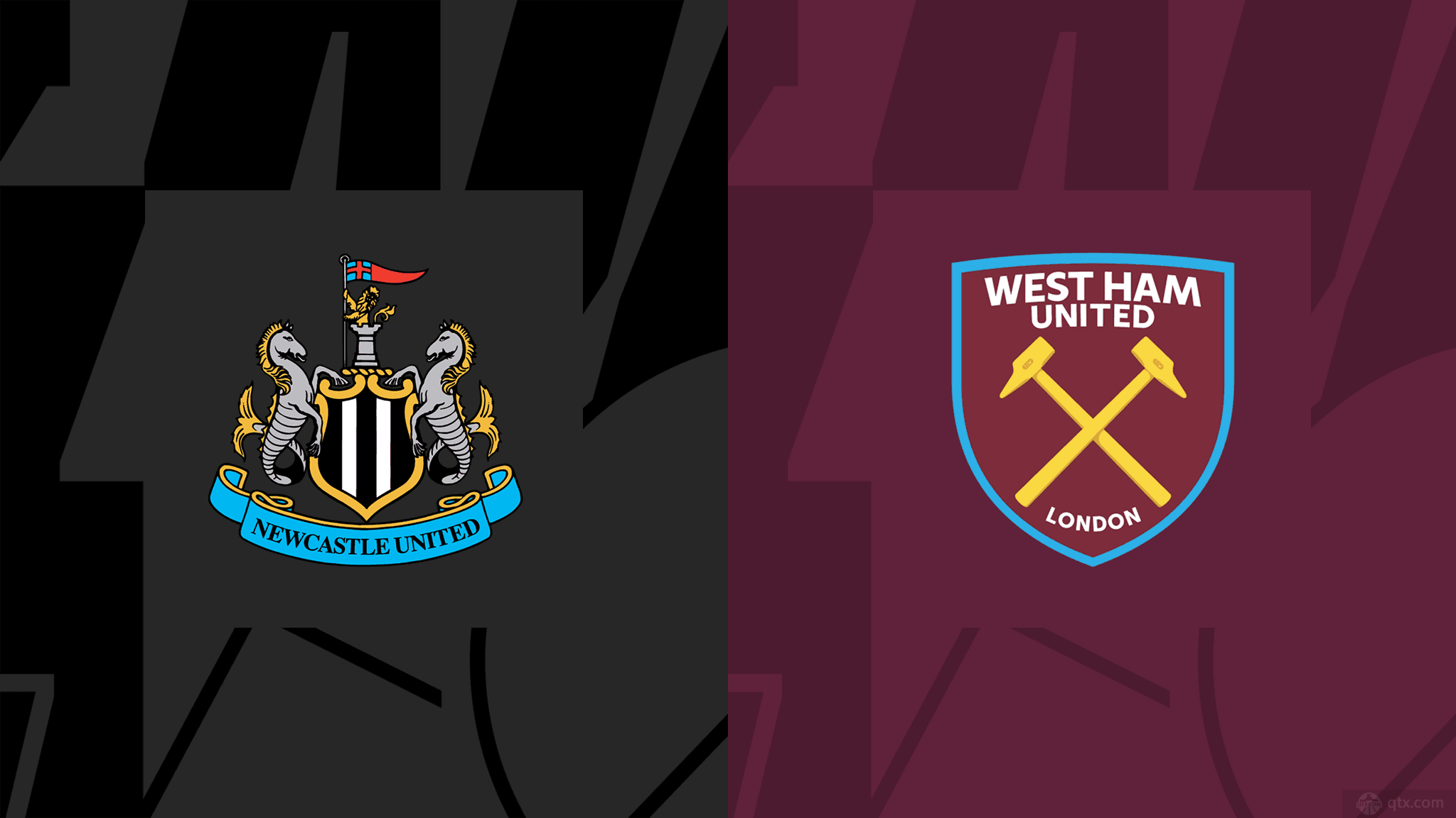 他不仅加大 他不仅加大