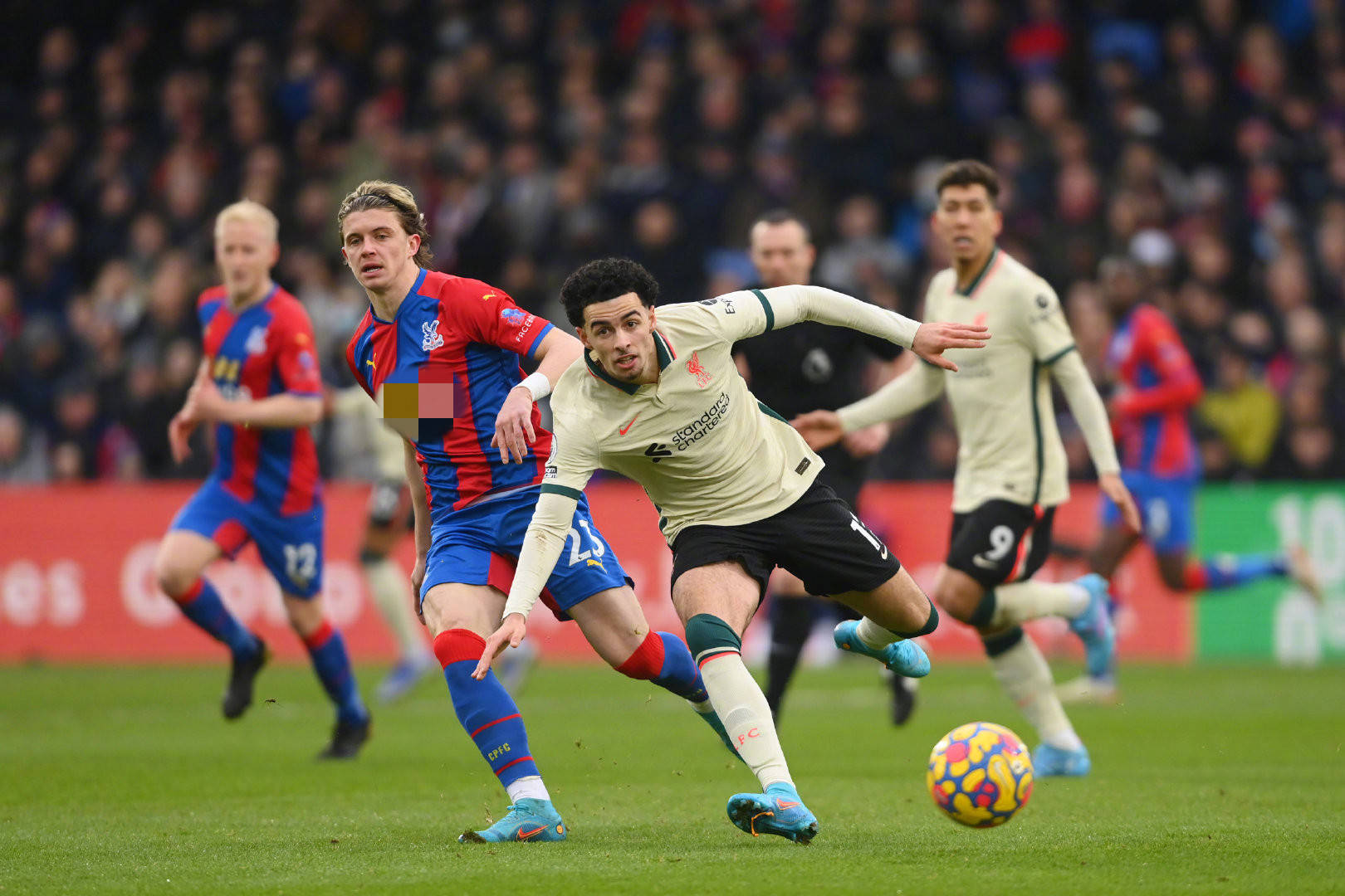 那一年的成 那一年的成